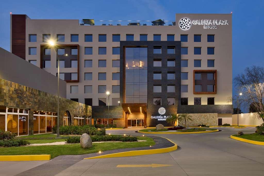 Hotel Galeria Plaza Irapuato Exteriér fotografie